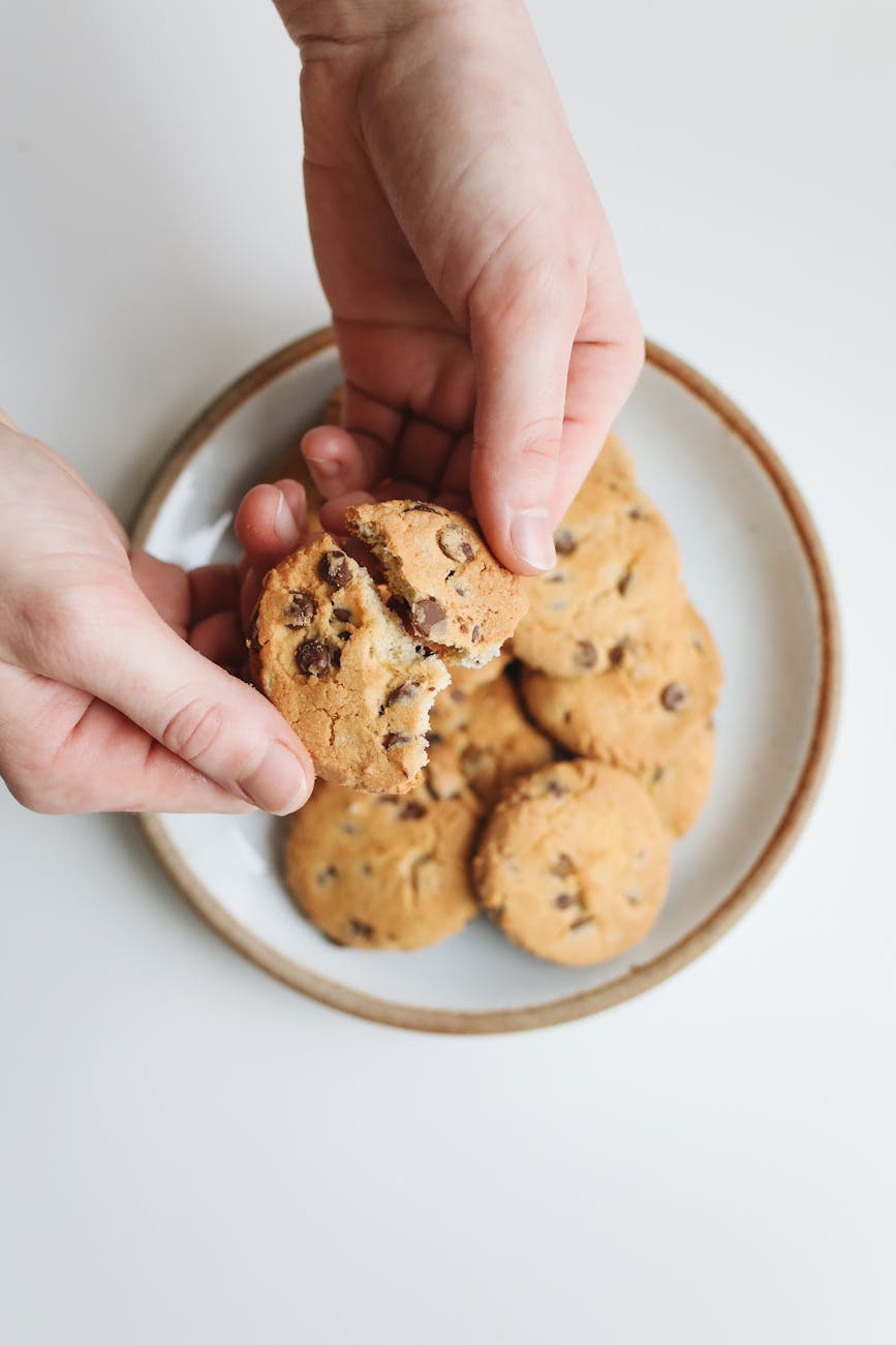 a person holding a chocolate chip cookies