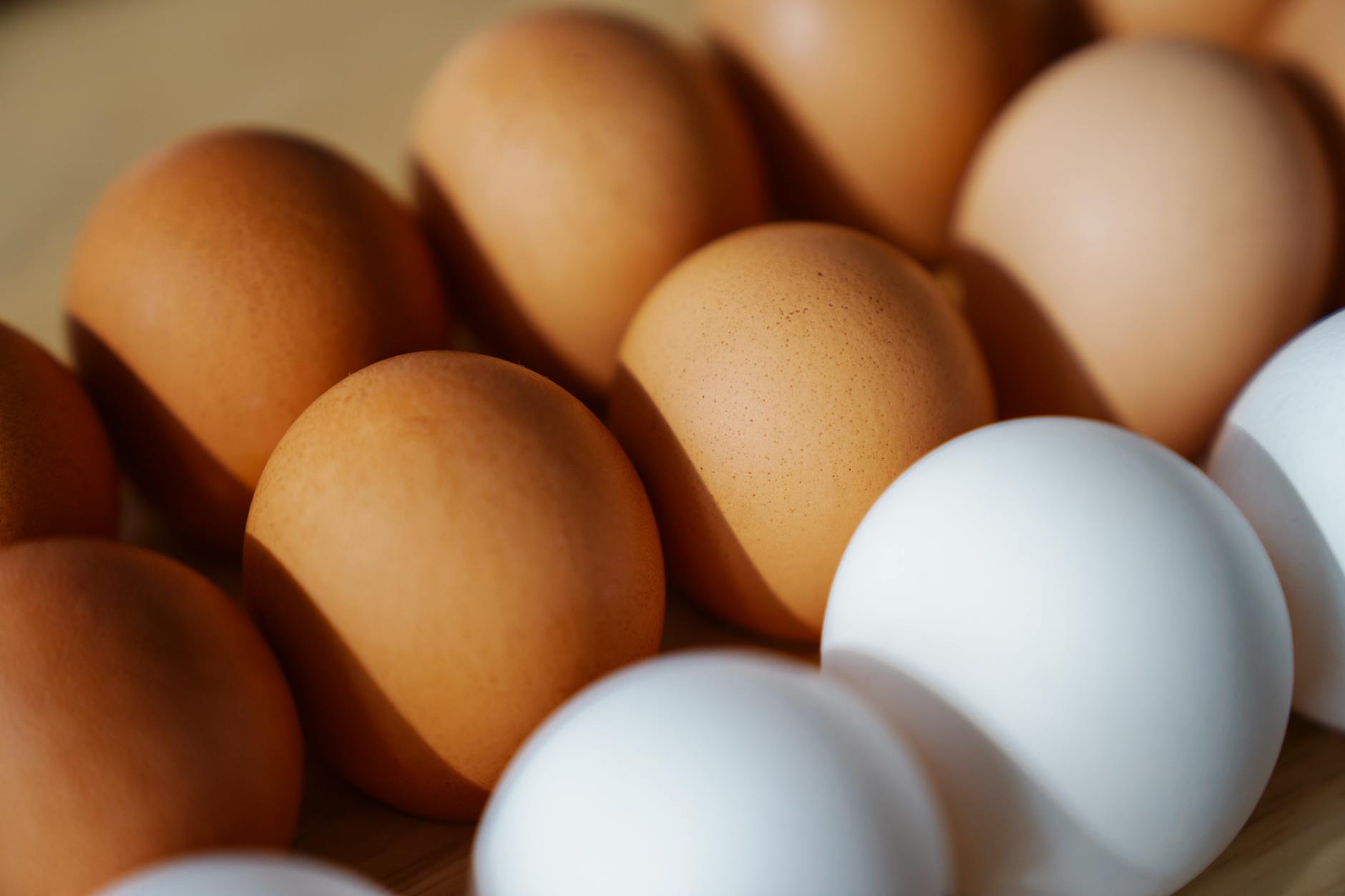 white and brown eggs in close up photography